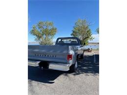 1979 Chevrolet C10 (CC-2091741) for sale in Cadillac, Michigan