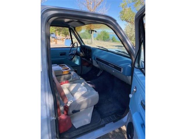 1979 Chevrolet C10 (CC-2091741) for sale in Cadillac, Michigan