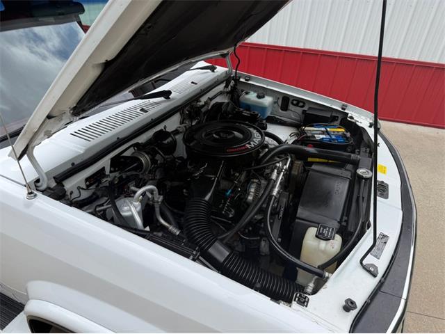 1994 Dodge Dakota (CC-2091812) for sale in Newfield, New Jersey