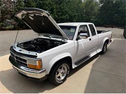 1994 Dodge Dakota (CC-2091812) for sale in Newfield, New Jersey