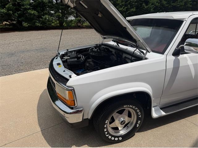1994 Dodge Dakota (CC-2091812) for sale in Newfield, New Jersey