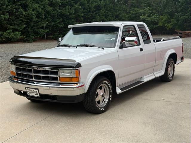 1994 Dodge Dakota (CC-2091812) for sale in Newfield, New Jersey