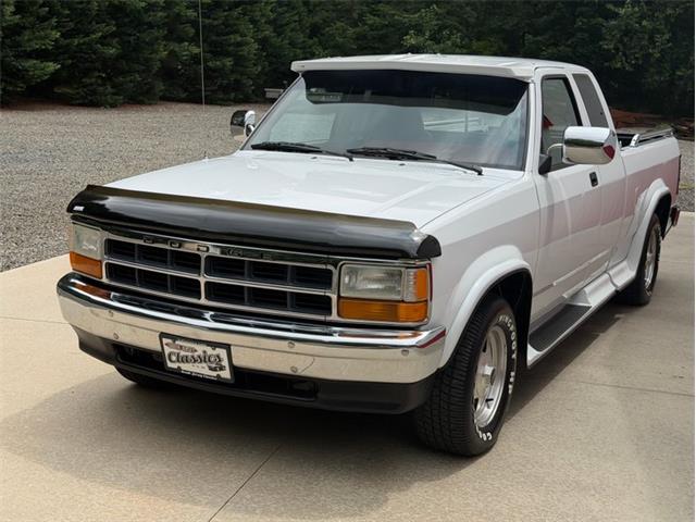 1994 Dodge Dakota (CC-2091812) for sale in Newfield, New Jersey