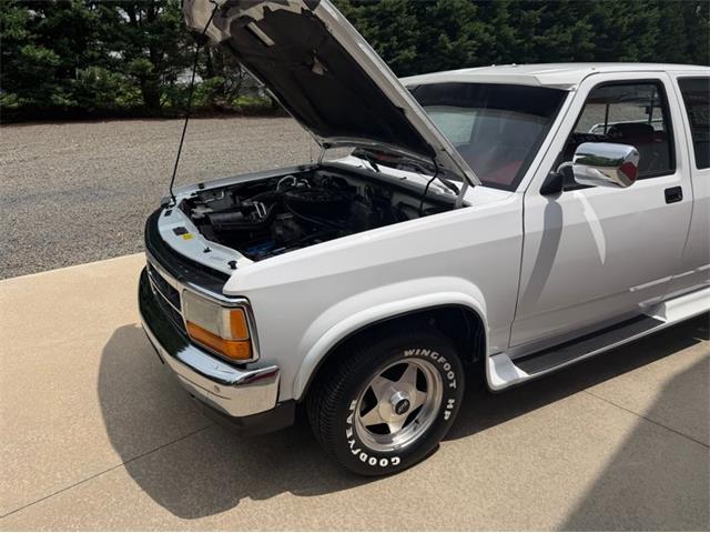 1994 Dodge Dakota (CC-2091812) for sale in Newfield, New Jersey