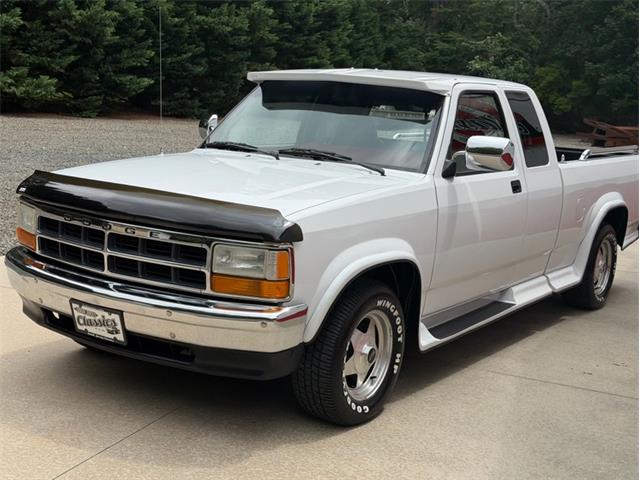 1994 Dodge Dakota (CC-2091812) for sale in Newfield, New Jersey