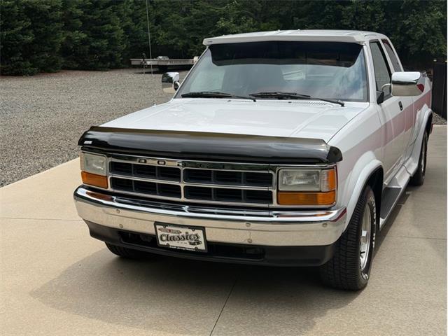 1994 Dodge Dakota (CC-2091812) for sale in Newfield, New Jersey
