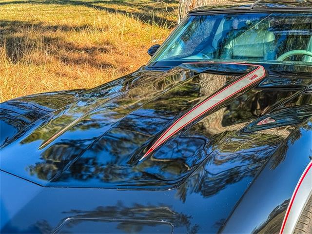 1978 Chevrolet Corvette (CC-2091846) for sale in Concord, North Carolina