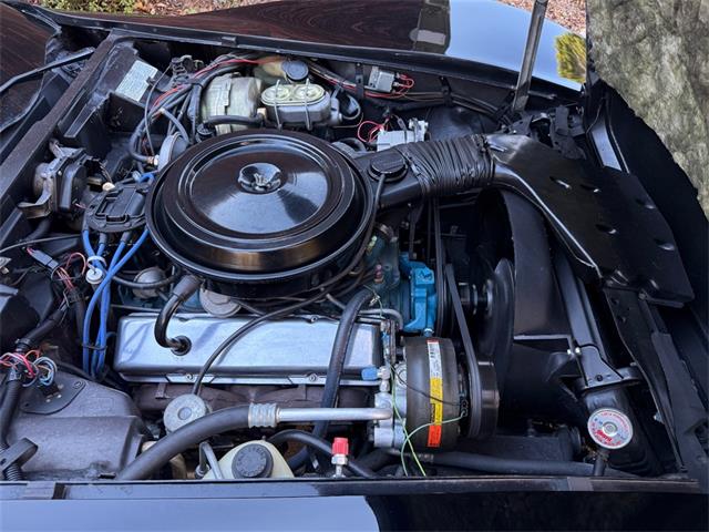 1978 Chevrolet Corvette (CC-2091846) for sale in Concord, North Carolina