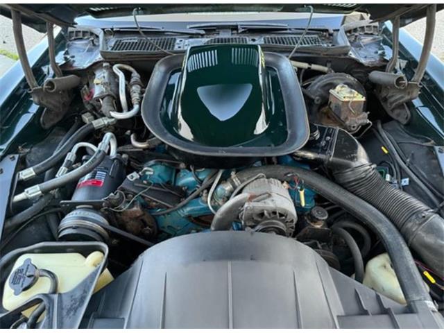 1973 Pontiac Firebird Trans Am (CC-2091870) for sale in Punta Gorda, Florida