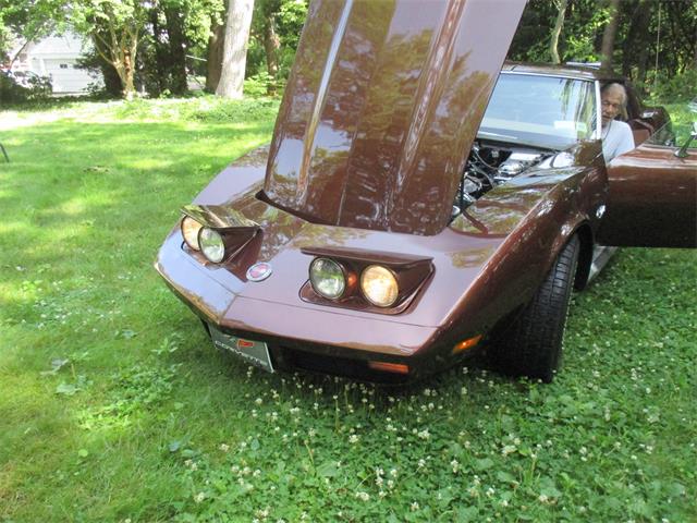 1974 Chevrolet Corvette (CC-2091889) for sale in Rochester, New York