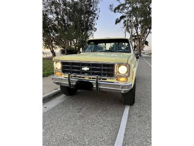 1976 Chevrolet K-10 (CC-2090019) for sale in Cadillac, Michigan