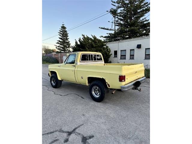 1976 Chevrolet K-10 (CC-2090019) for sale in Cadillac, Michigan