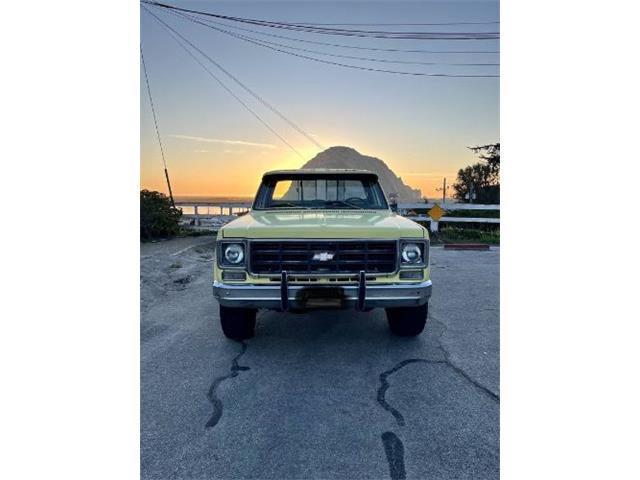 1976 Chevrolet K-10 (CC-2090019) for sale in Cadillac, Michigan