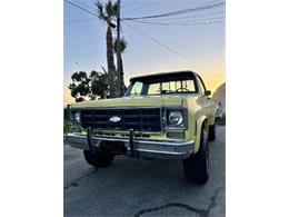 1976 Chevrolet K-10 (CC-2090019) for sale in Cadillac, Michigan