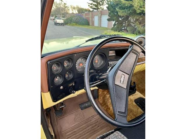 1976 Chevrolet K-10 (CC-2090019) for sale in Cadillac, Michigan