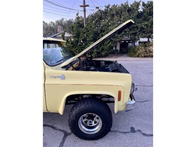 1976 Chevrolet K-10 (CC-2090019) for sale in Cadillac, Michigan