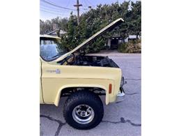 1976 Chevrolet K-10 (CC-2090019) for sale in Cadillac, Michigan