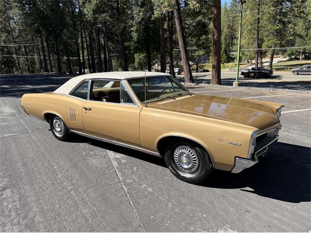 1967 Pontiac LeMans (CC-2091919) for sale in Grass Valley, California