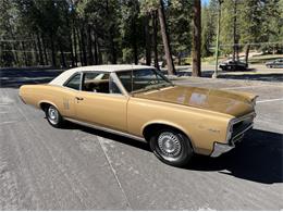 1967 Pontiac LeMans (CC-2091919) for sale in Grass Valley, California