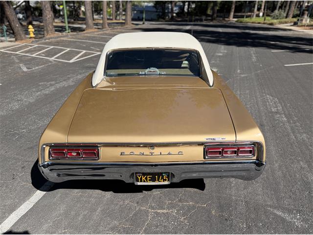 1967 Pontiac LeMans (CC-2091919) for sale in Grass Valley, California