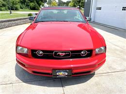 2007 Ford Mustang (CC-2090193) for sale in Hilton, New York