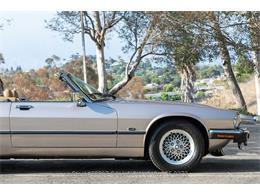 1992 Jaguar XJS (CC-2091995) for sale in Beverly Hills, California