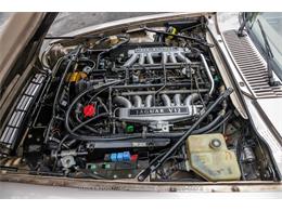1992 Jaguar XJS (CC-2091995) for sale in Beverly Hills, California