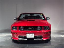 2009 Ford Mustang (CC-2092050) for sale in Depew, New York