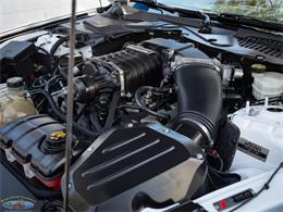 2016 Ford Mustang (CC-2092055) for sale in Torrance, California