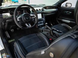 2016 Ford Mustang (CC-2092055) for sale in Torrance, California