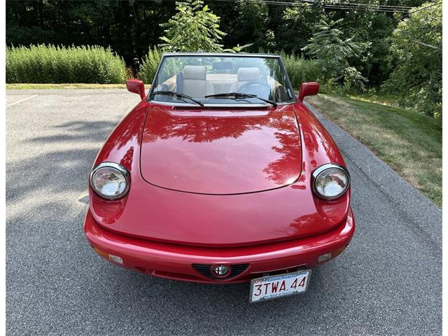 1991 Alfa Romeo Spider (CC-2092061) for sale in Hingham, Massachusetts