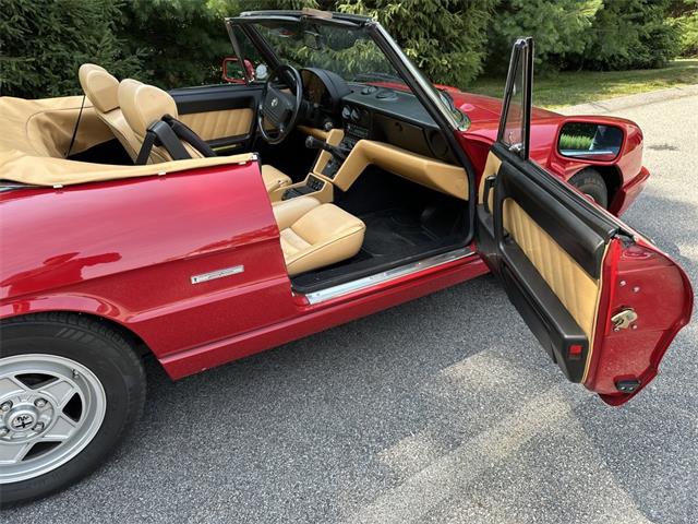 1991 Alfa Romeo Spider (CC-2092061) for sale in Hingham, Massachusetts