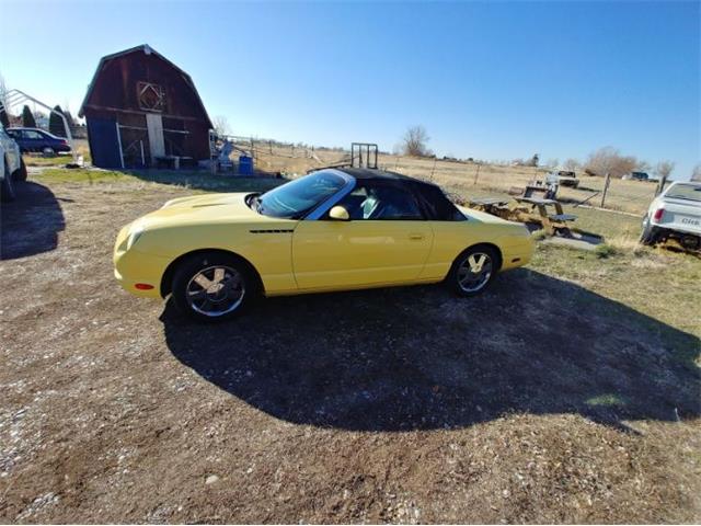 2002 Ford Thunderbird (CC-2092064) for sale in Cadillac, Michigan