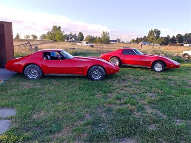 1977 Chevrolet Corvette (CC-2092066) for sale in Cadillac, Michigan