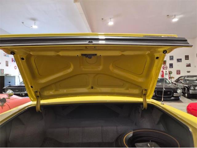 1965 Chevrolet Chevelle (CC-2092069) for sale in Cadillac, Michigan