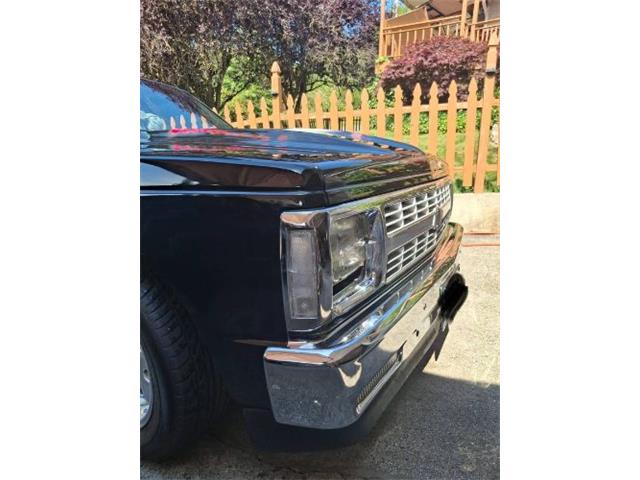 1983 Chevrolet S10 (CC-2092072) for sale in Cadillac, Michigan