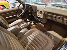 1969 AMC AMX (CC-2092073) for sale in Cadillac, Michigan
