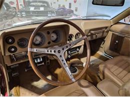 1969 AMC AMX (CC-2092073) for sale in Cadillac, Michigan
