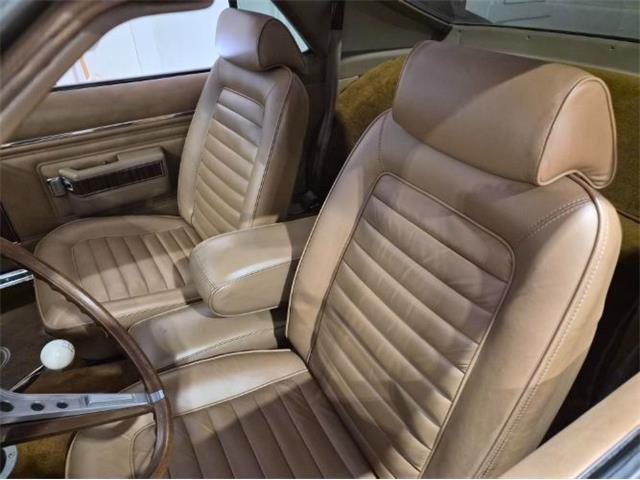 1969 AMC AMX (CC-2092073) for sale in Cadillac, Michigan