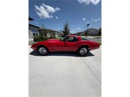 1979 Chevrolet Corvette (CC-2092080) for sale in Cadillac, Michigan