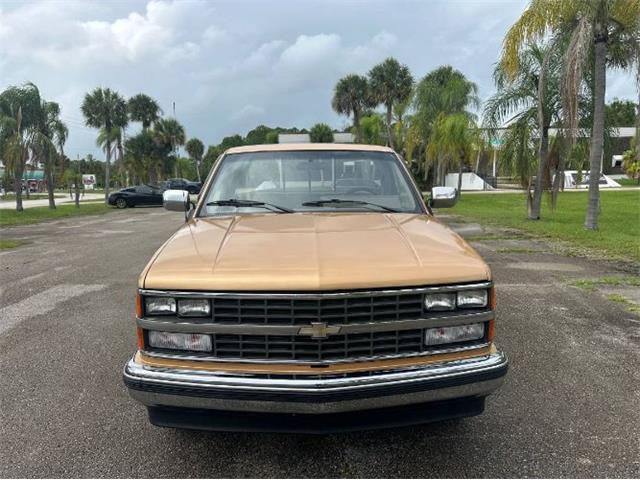 1988 Chevrolet Silverado (CC-2092085) for sale in Cadillac, Michigan