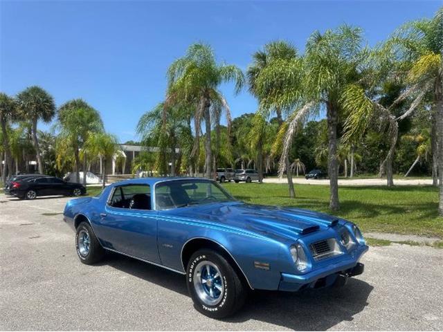 1975 Pontiac Firebird (CC-2092086) for sale in Cadillac, Michigan