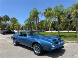 1975 Pontiac Firebird (CC-2092086) for sale in Cadillac, Michigan