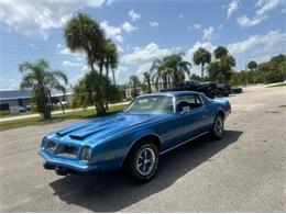 1975 Pontiac Firebird (CC-2092086) for sale in Cadillac, Michigan