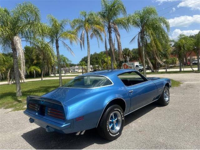 1975 Pontiac Firebird (CC-2092086) for sale in Cadillac, Michigan
