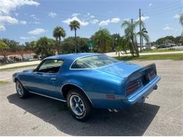 1975 Pontiac Firebird (CC-2092086) for sale in Cadillac, Michigan