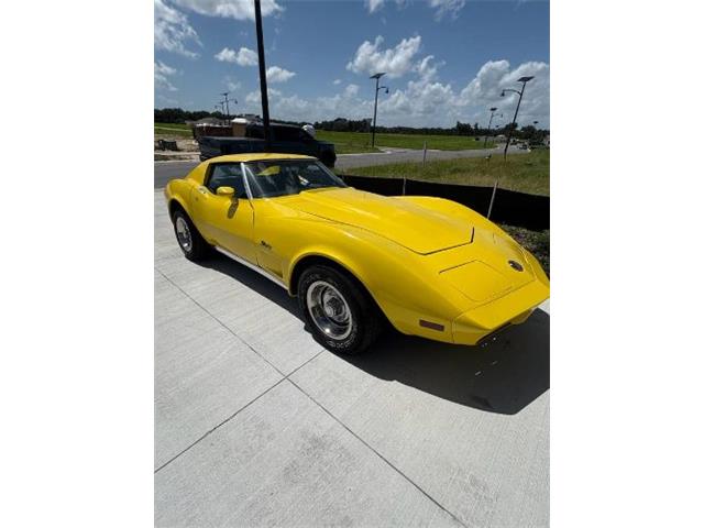 1974 Chevrolet Corvette (CC-2092099) for sale in Cadillac, Michigan