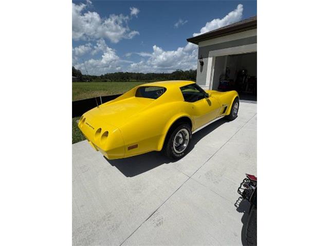1974 Chevrolet Corvette (CC-2092099) for sale in Cadillac, Michigan