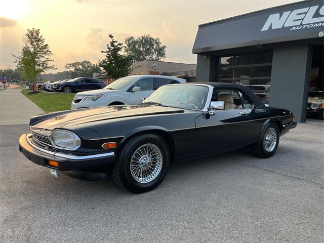 1991 Jaguar XJS (CC-2090211) for sale in Heath, Ohio