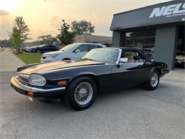 1991 Jaguar XJS (CC-2090211) for sale in Heath, Ohio